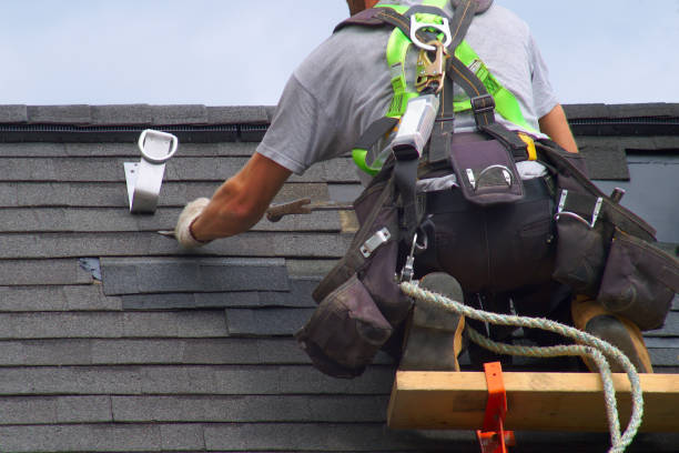 Best Roof Gutter Cleaning  in Big Bear City, CA